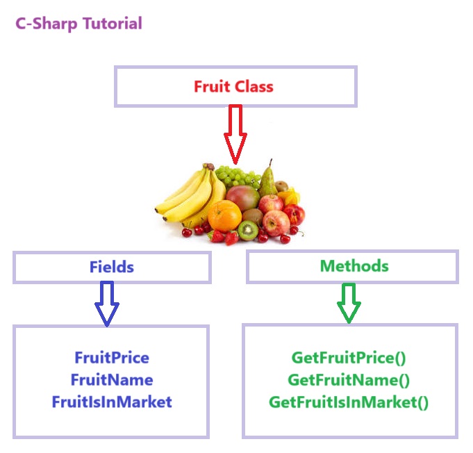 C# Classes Examples