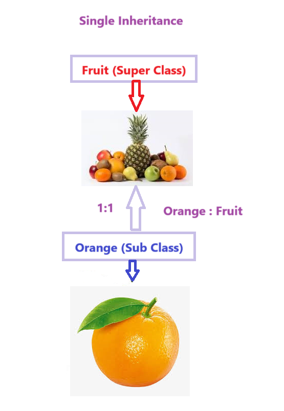 Single Inheritance in C#